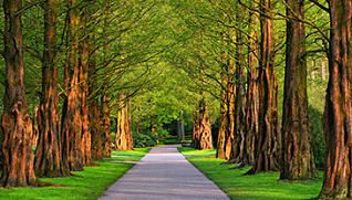 Международная летняя школа "Мониторинг, моделирование и управление городскими почвами и зеленой инфраструктурой"